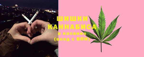 молекула духа Карпинск