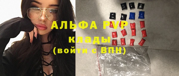 молекула духа Карпинск