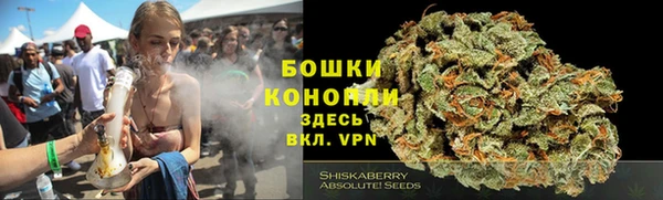 молекула духа Карпинск
